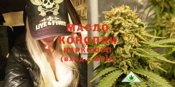 метадон Няндома