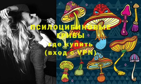 метадон Няндома