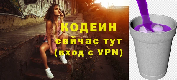 метадон Няндома