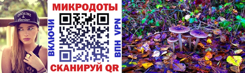 Галлюциногенные грибы MAGIC MUSHROOMS  где купить наркоту  Темников 